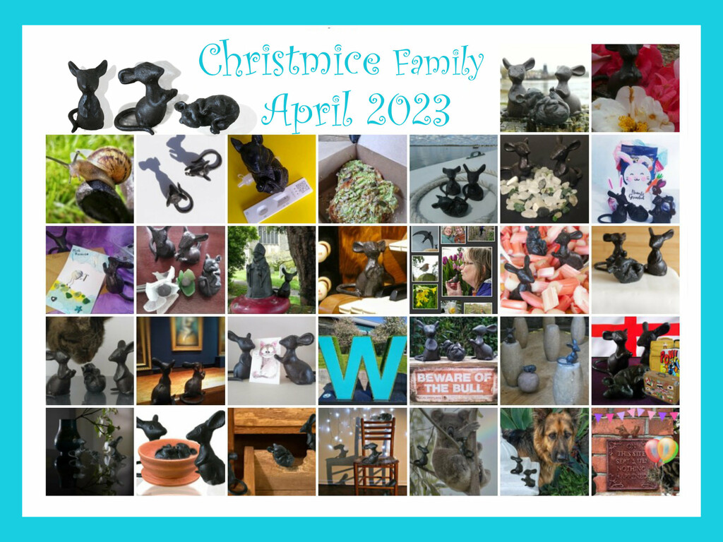 30-Shots2023 of the Christmice Family by 30pics4jackiesdiamond