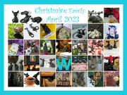 29th Apr 2023 - 30-Shots2023 of the Christmice Family