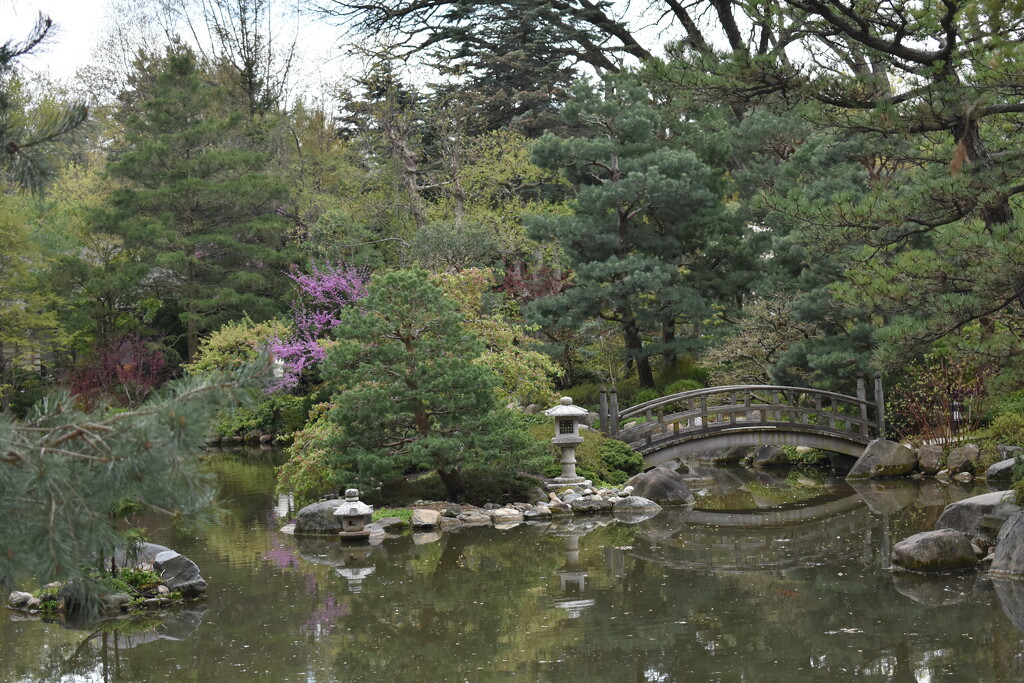 Japanese Garden by lisab514