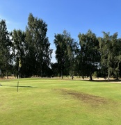 9th Aug 2022 - Golf course in the sun...