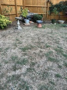 14th Aug 2022 - Where has the grass gone???