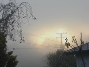 30th Apr 2023 - Sea Mist