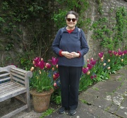 26th Apr 2023 - Grace55, tulip garden. Holker Hall 
