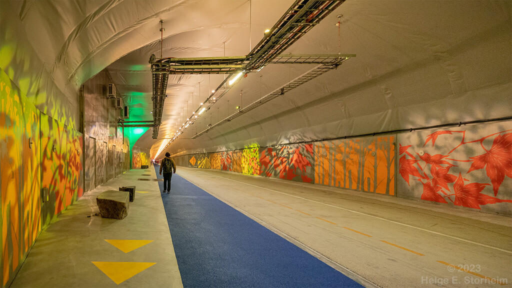 Tunnel by helstor365