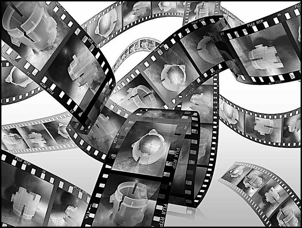 Film Strip by olivetreeann