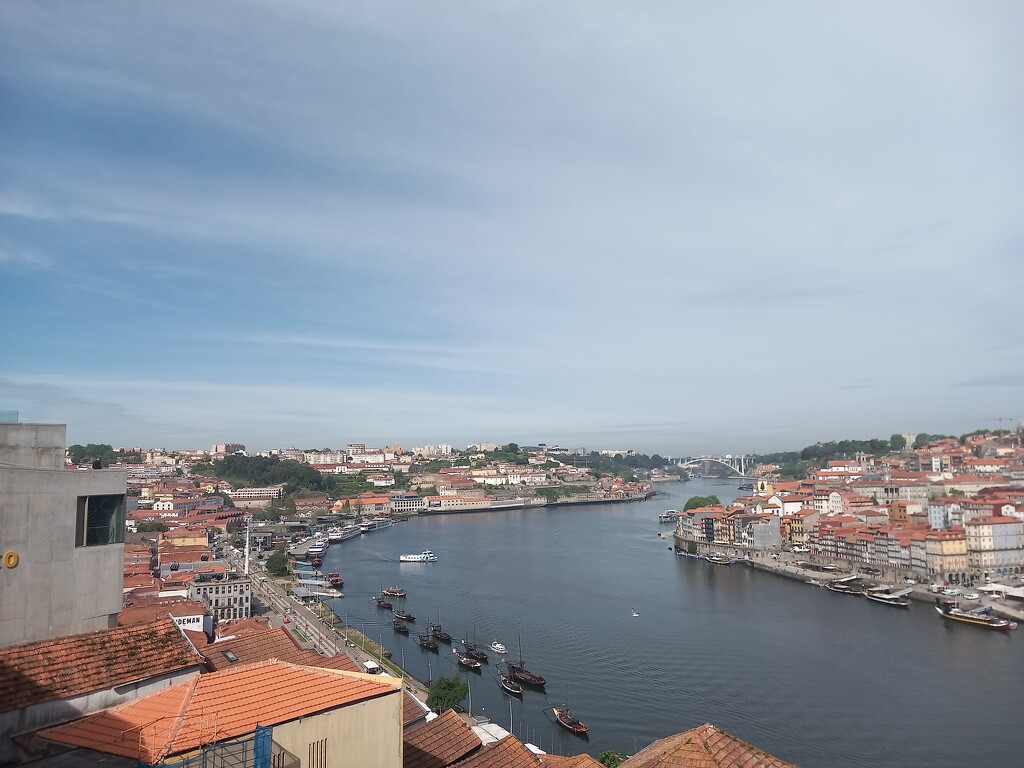 Porto by armurr