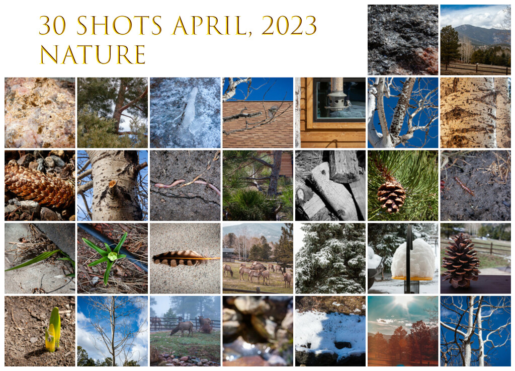 30 Shots April by willamartin