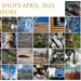 30 Shots April by willamartin
