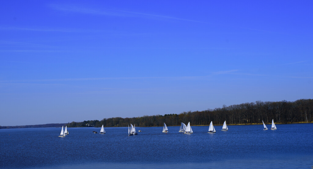 Spring practice for the sailing club by ggshearron