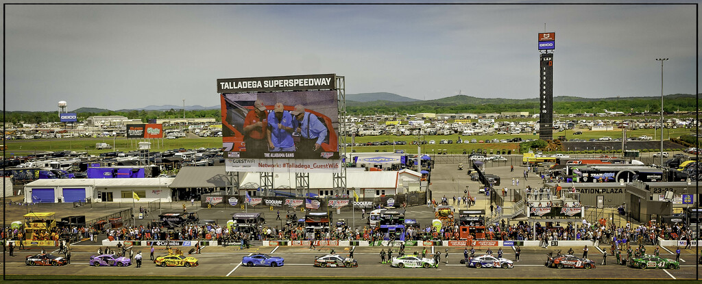 This is TALLADEGA! by bluemoon