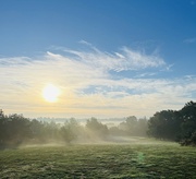 6th Sep 2022 - Misty morning.....