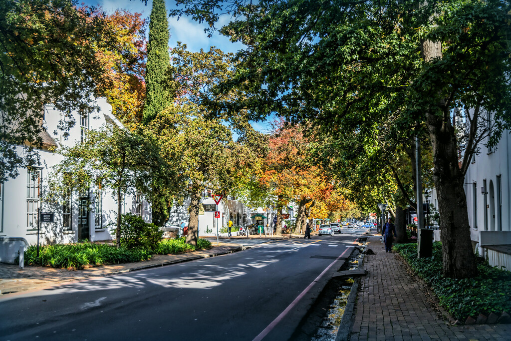 Taking a walk through the streets of Stellenbosch by ludwigsdiana