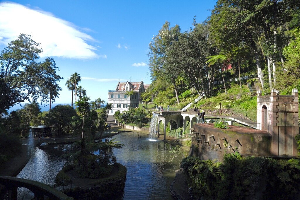 The botanical gardens of Funchal  by robboconnor