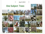 1st May 2023 - April trees