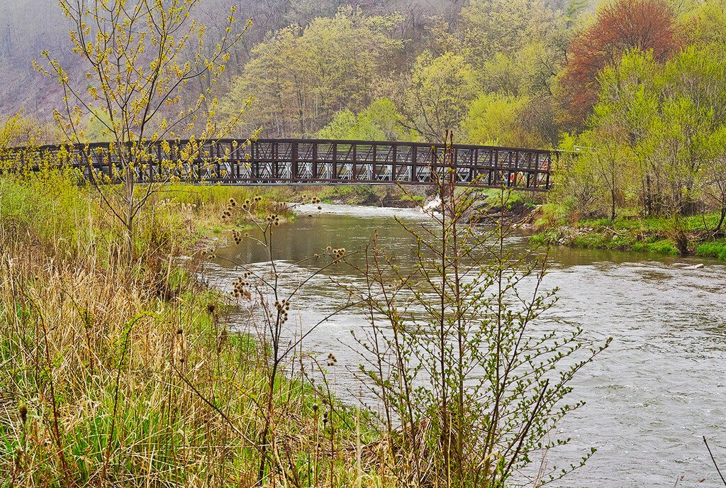 Creek Bridge by gardencat