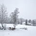 Snowing yet again by okvalle