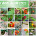 30 shots Calendar by ingrid01