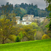 Eastnor Castle from the Deer Park by clifford