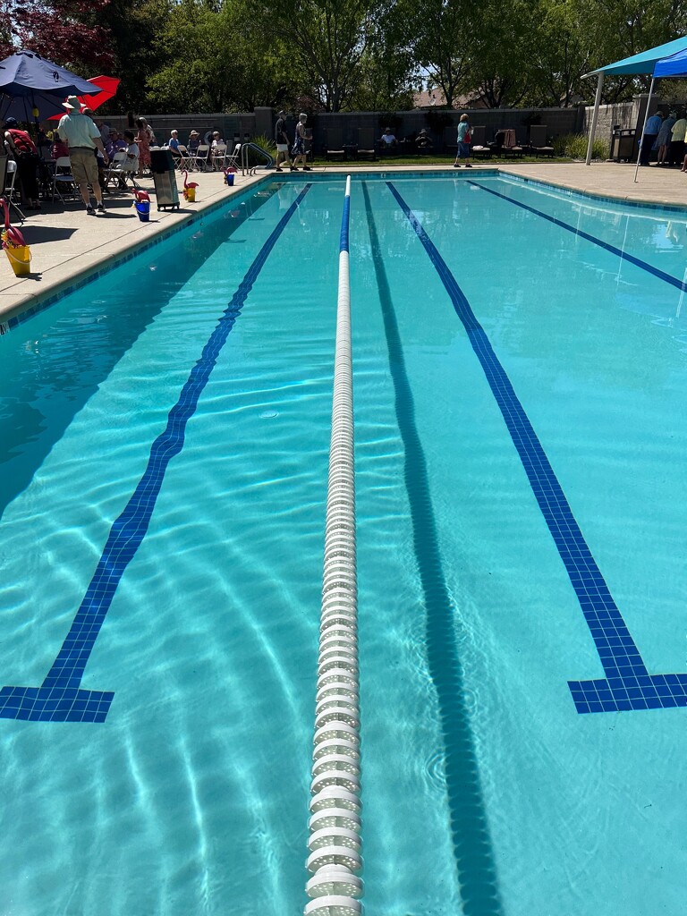 Pool is Open by shutterbug49