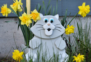1st May 2023 - My Kitty Cat Planter