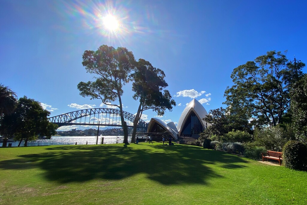 Different view of Sydney Opera House and Harbour Bridge from Royal Botanic Gardens.  by johnfalconer
