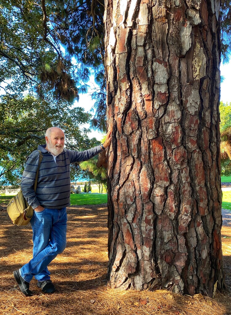 Me and a tree. Royal Botanic Gardens, Sydney.  by johnfalconer