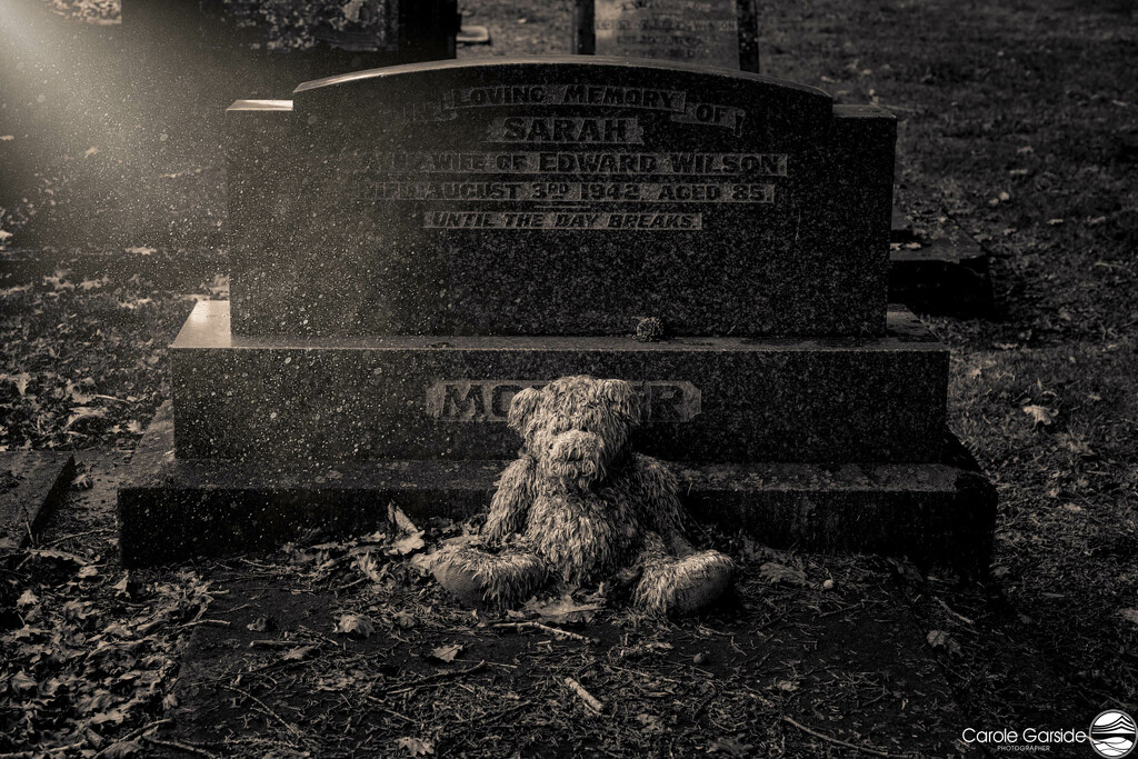 Sad Teddy by yorkshirekiwi