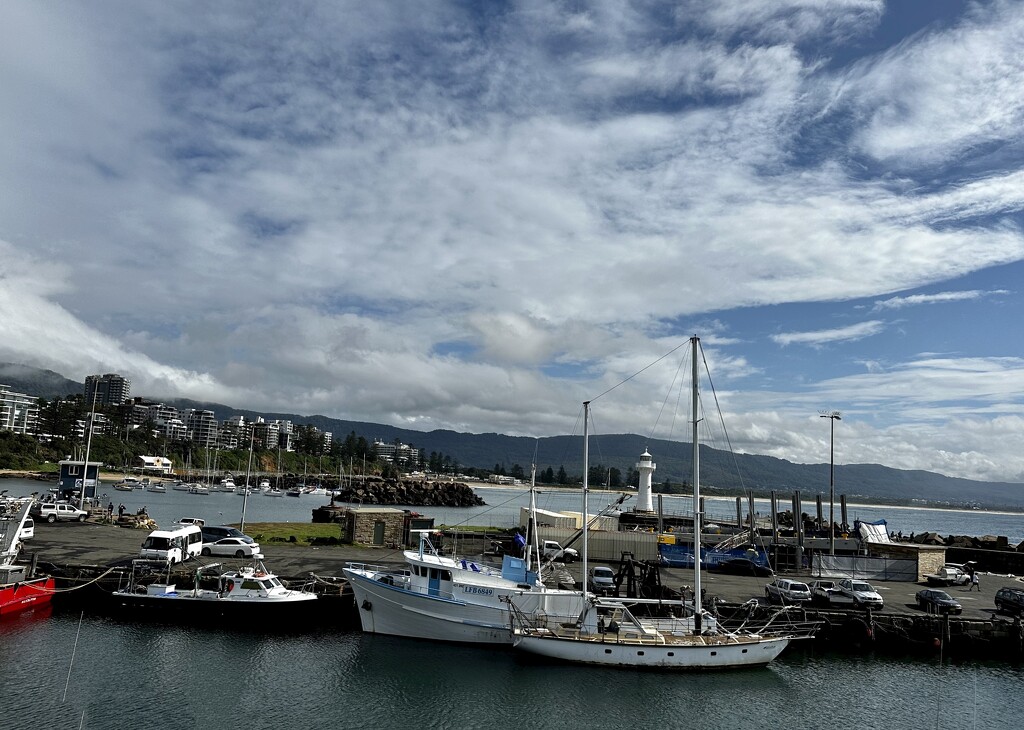 Wollongong Harbour! by deidre