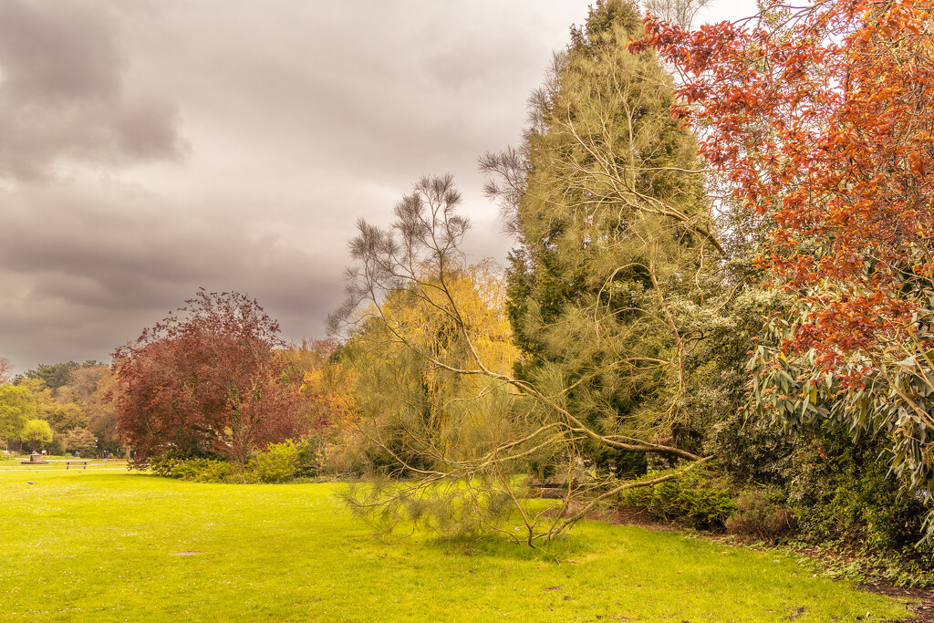 Valley Gardens Harrogate by lumpiniman