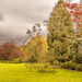 Valley Gardens Harrogate by lumpiniman