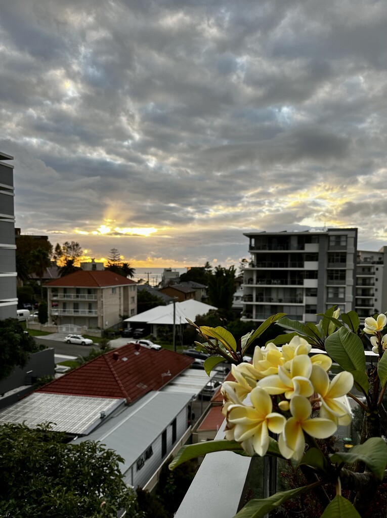 Nature’s crowning glories! by deidre