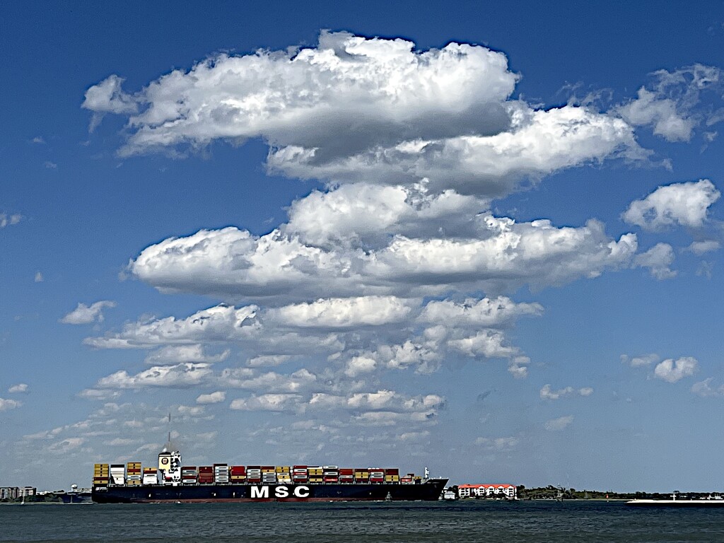 Container cargo ship leaving Charleston  Harbor by congaree