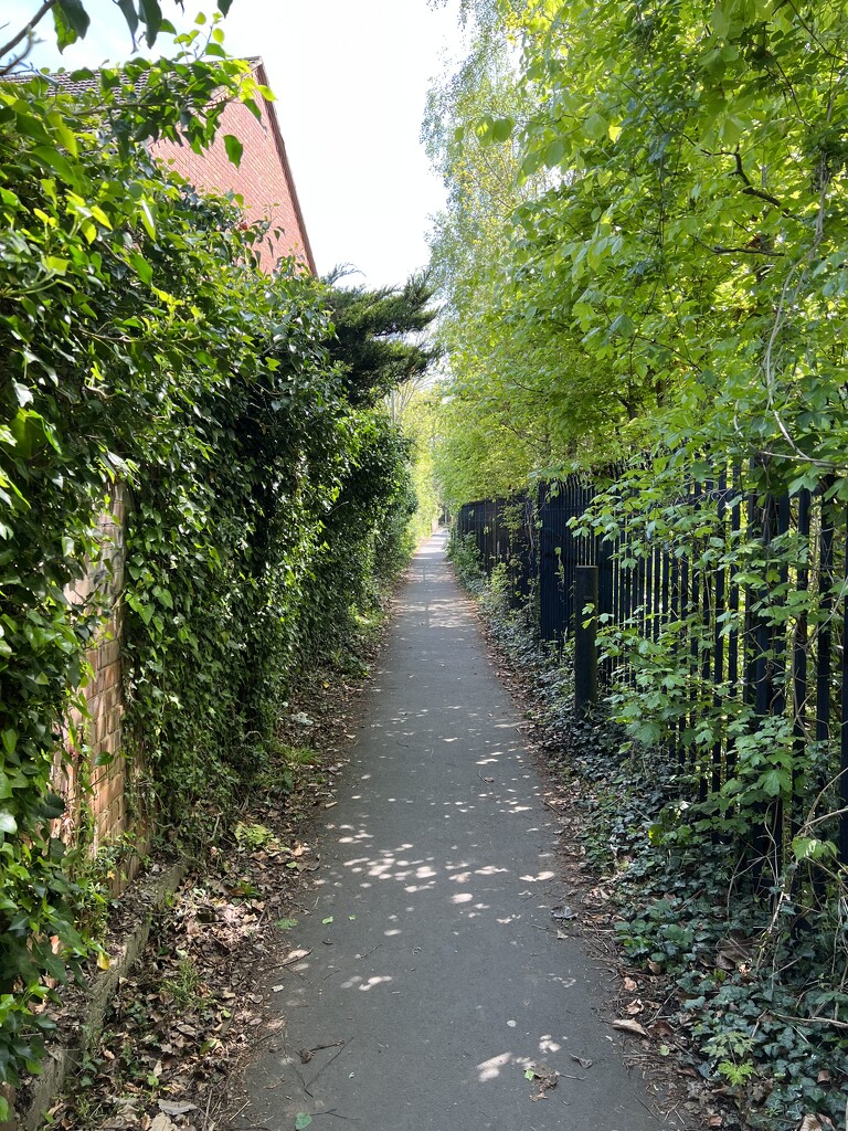 Leafy path to the local retail park.  by keeptrying