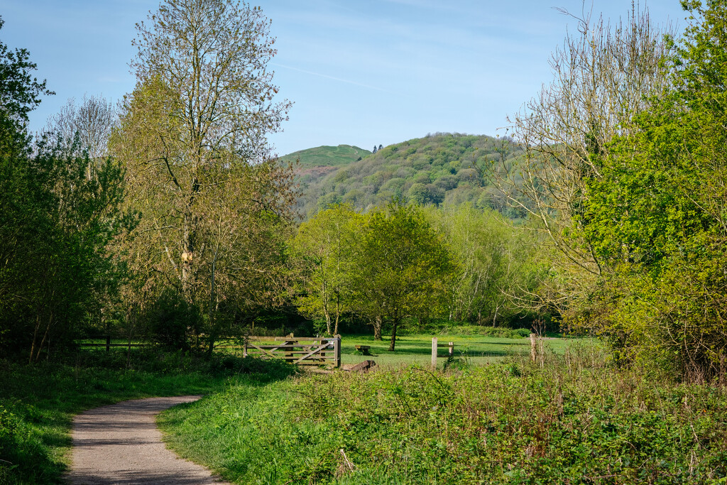 A local nature reserve by clifford