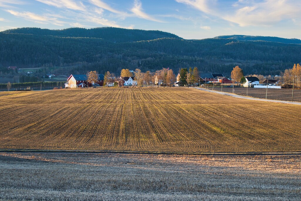 Morning sun in Skoger by okvalle