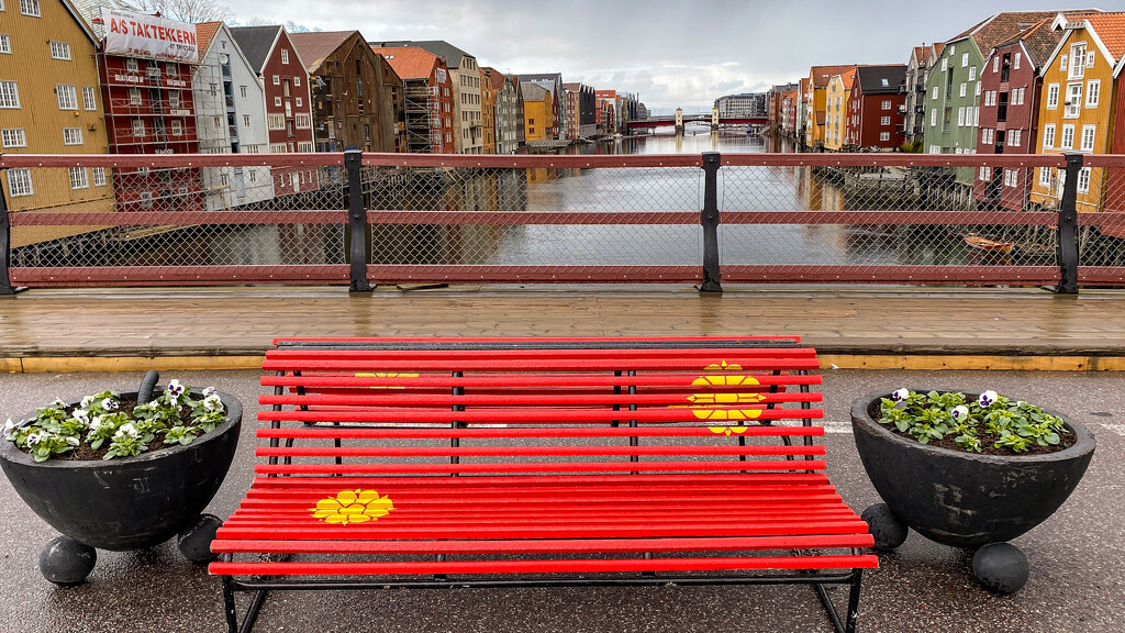 The bench on the bridge by elisasaeter
