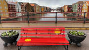 3rd May 2023 - The bench on the bridge