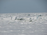27th Jan 2011 - Erie Ice
