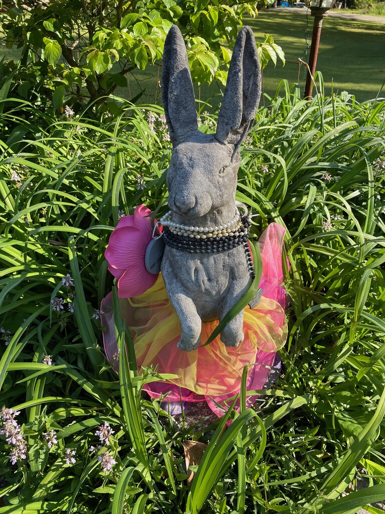 Prom Season bunny by margonaut