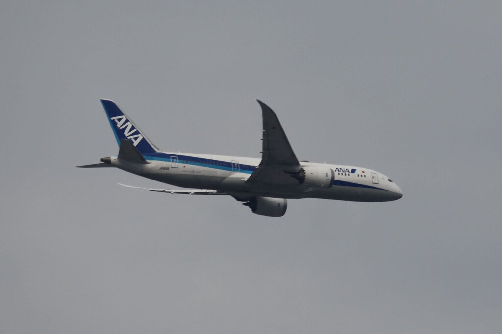 ANA Dreamliner by 520