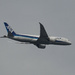 ANA Dreamliner by 520