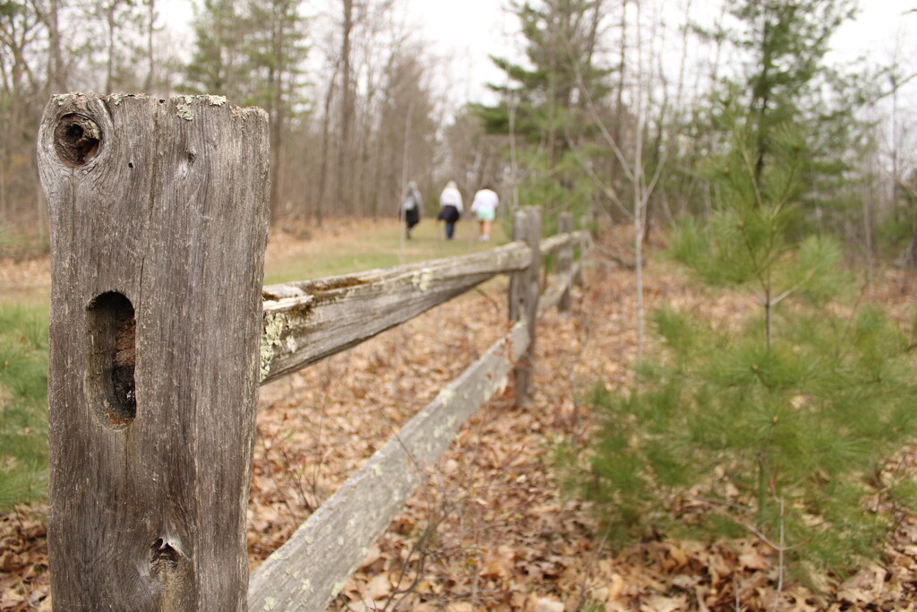 Hiking with friends by mltrotter