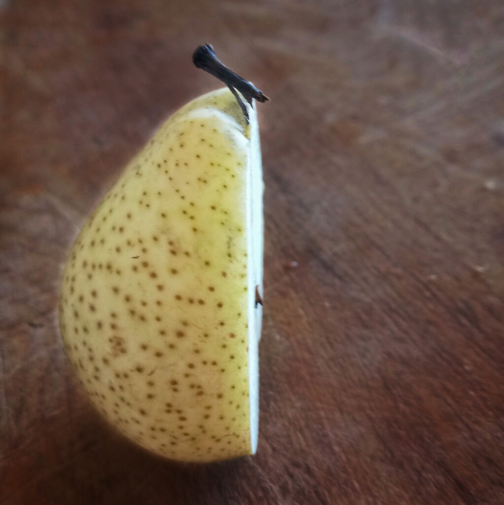 Pear Half by salza