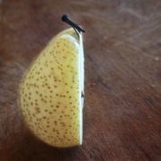 4th May 2023 - Pear Half