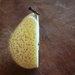 Pear Half by salza