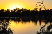 5th May 2023 - Murray River morning