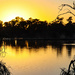 Murray River morning by ankers70