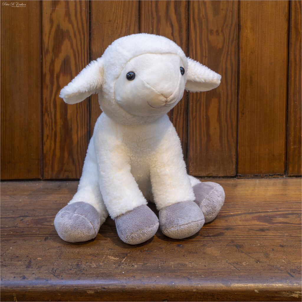 Soft Toy by pcoulson