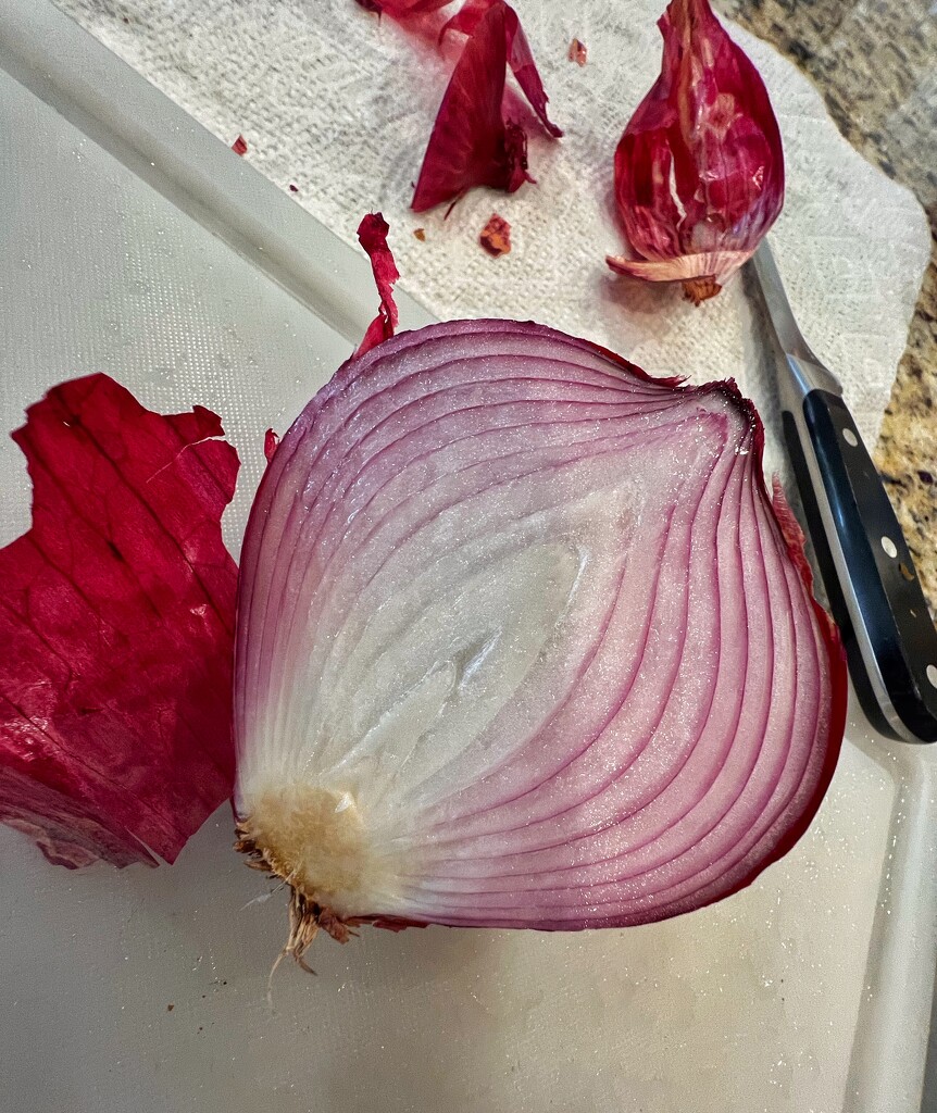 Red Onion by dkellogg