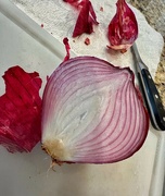 4th May 2023 - Red Onion